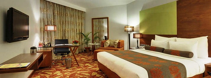 303/The Pride Hotel - Nagpur 06.jpg